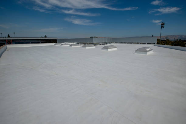 Best Flat Roofing  in Zuni Pueblo, NM