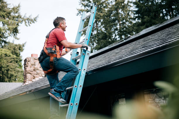 Best Solar Panel Roofing Installation  in Zuni Pueblo, NM