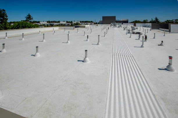 Best Sheet Metal Roofing  in Zuni Pueblo, NM
